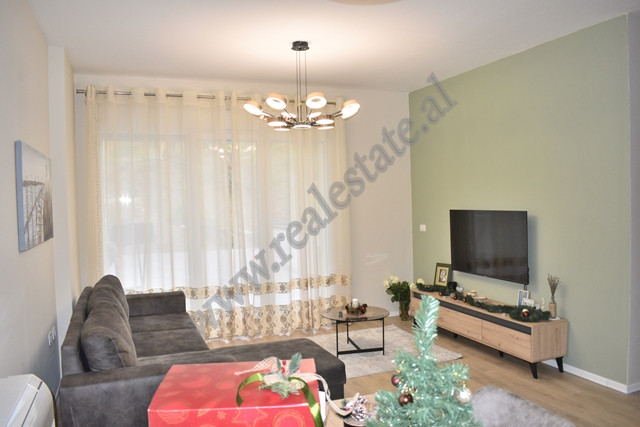 Two bedroom apartment for rent near the Artificial Lake in Tirana, Albania